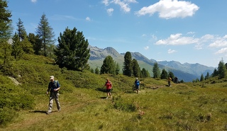Hiking in a group - a great holiday for solo travellers